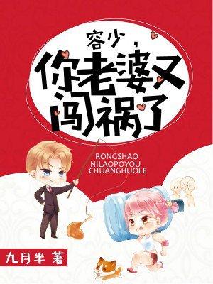 寄情在玉階小說封面