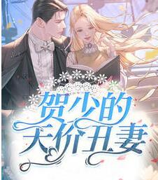 夏阮阮賀淵封面