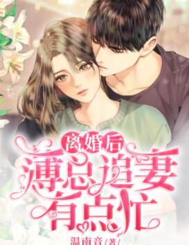 夏浠薄晏庭封面