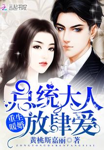 美麗的芭蕾小說封面