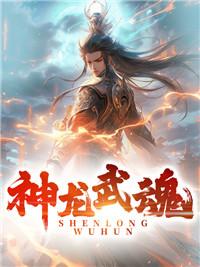 神龍武魂封面