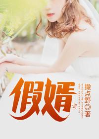 農(nóng)婿無(wú)雙封面