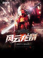 風(fēng)云龍婿封面