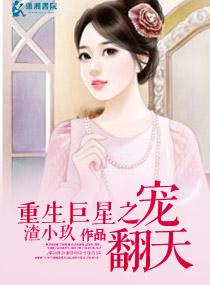 大明武侯陳陽封面