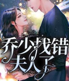 喬少找錯(cuò)夫人了封面