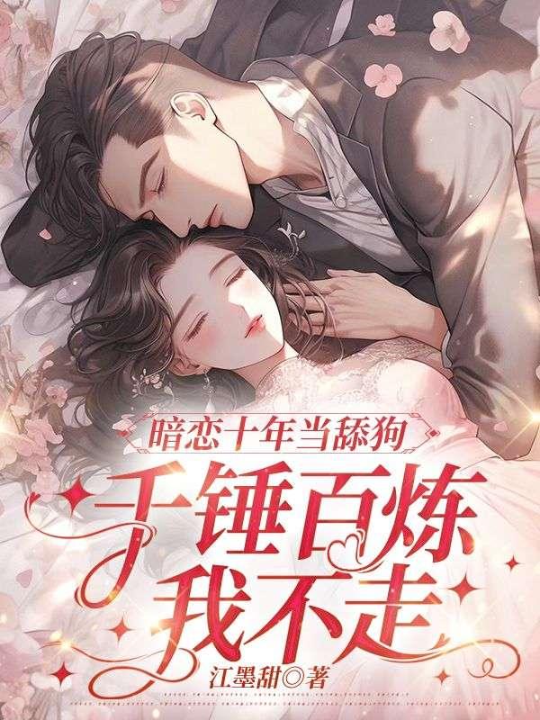 阮念念風(fēng)慕齊封面