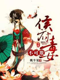 惹不起廢婿汶河西流封面