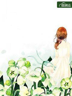 葉青高清月的小說封面