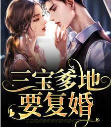 三寶爹地要復(fù)婚封面