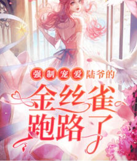 強(qiáng)制寵愛：陸爺?shù)慕鸾z雀跑路了封面