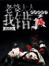 桑嫵賀昭禮女頻小說封面