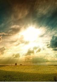 榮子姻陸流澤封面