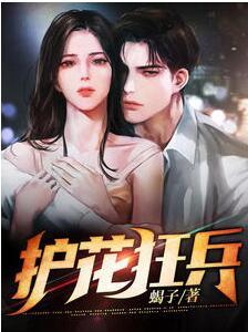 葉蒼天唐欣婉封面