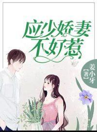 應(yīng)少嬌妻不好惹封面