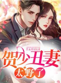 賀少丑妻太野了封面