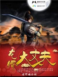 龍婿大丈夫封面