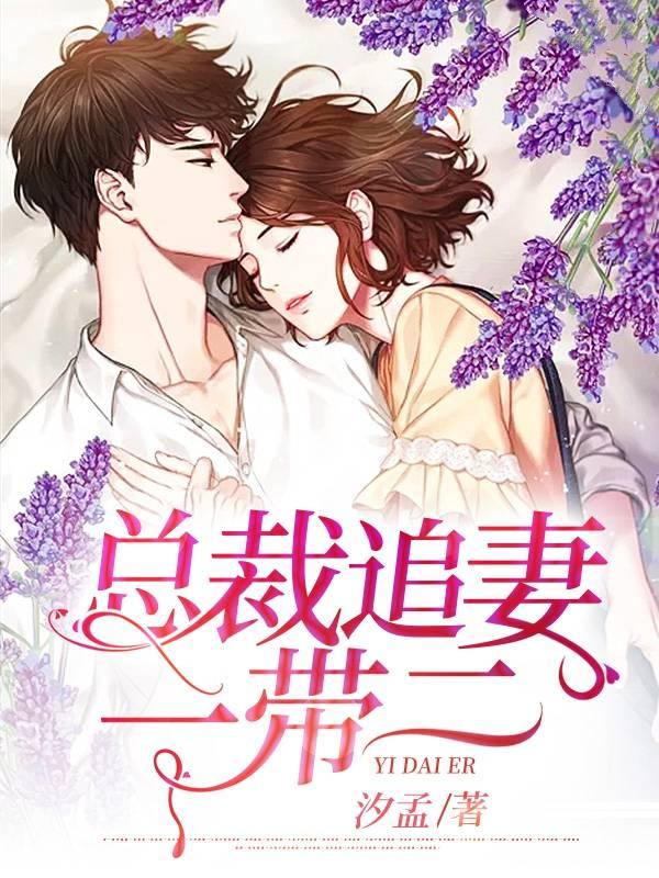 總裁追妻一帶二封面
