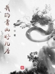 我的靠山好幾座封面