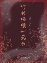 竹外梅橫一兩枝封面