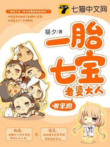 一胎七寶老婆大人哪里跑封面