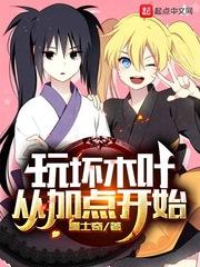 玩壞木葉從加點(diǎn)開始封面