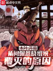 木葉：開局質(zhì)問佩恩曉組織覆滅的原因封面