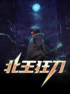 布衣青年寧北封面