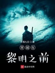 穿越在黎明之前封面