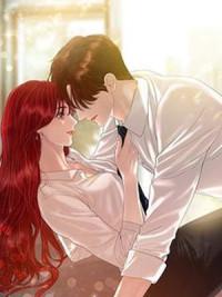 陸子琛沈安安小說免費閱讀封面