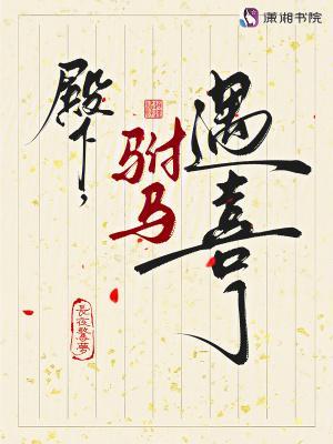 殿下，駙馬遇喜了封面