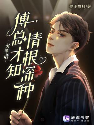 分手后，傅總才知情根深種封面