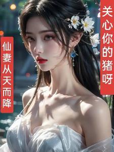 仙妻從天而降封面