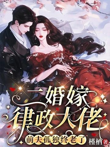 二婚嫁律政大佬，前夫孤獨(dú)終老了封面