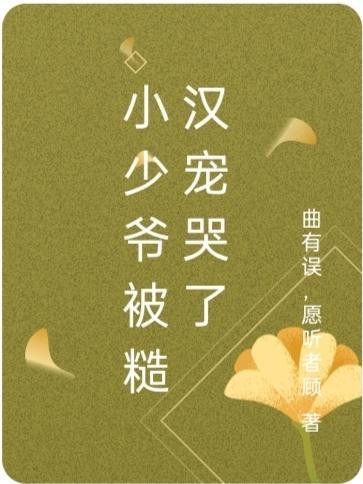 小少爺被糙漢寵哭了封面