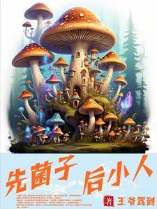 先菌子，后小人封面