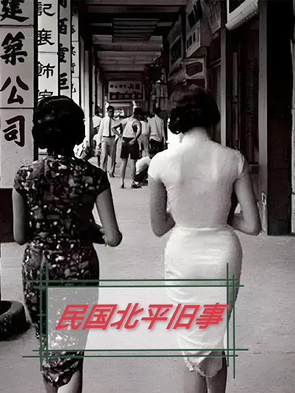 民國(guó)北平舊事封面