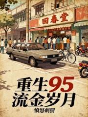 重生95流金歲月封面