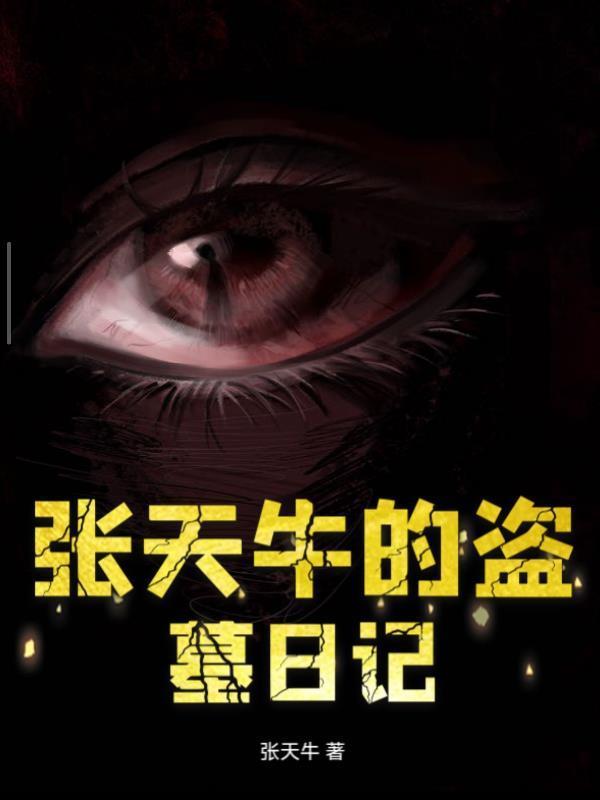 張?zhí)炫５谋I墓日記封面