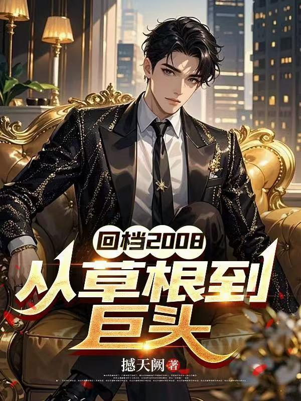 回檔2008，從草根到巨頭封面