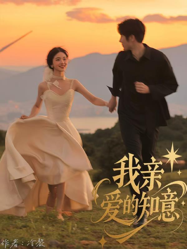 我親愛的知意封面