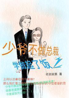 少爺不做總裁學(xué)做起了飯2封面