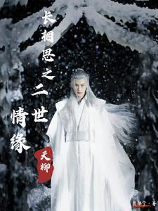 長相思之二世情緣封面