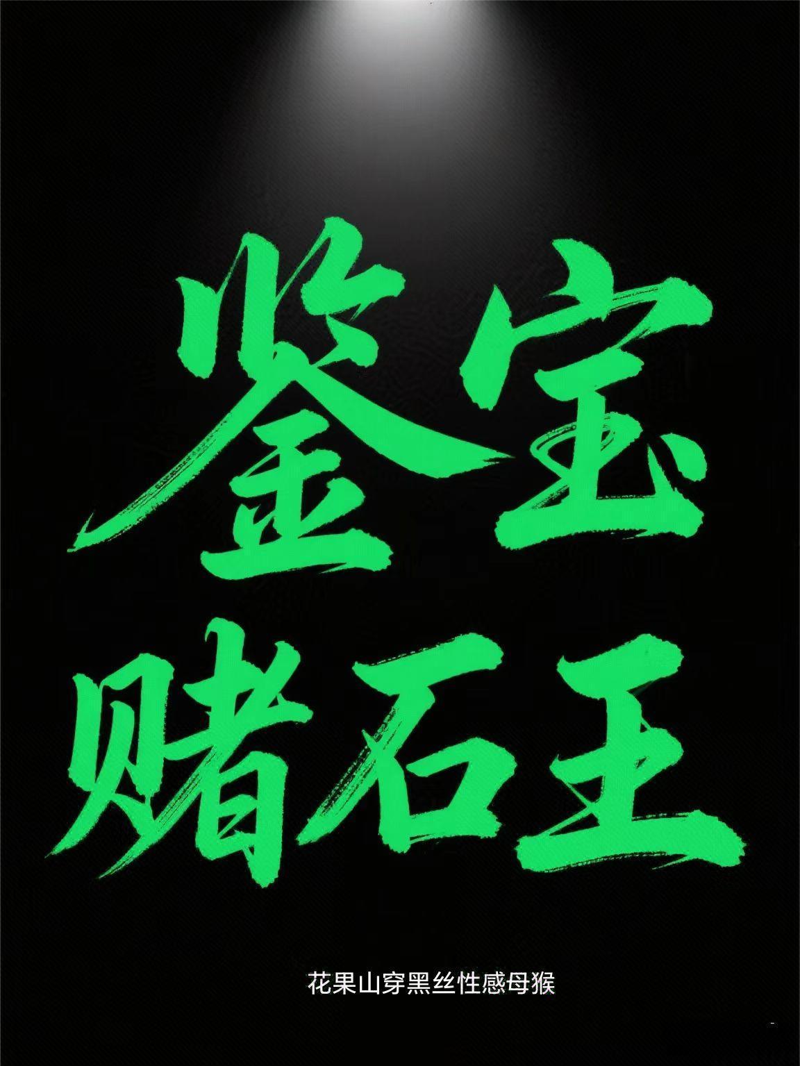 鑒寶賭石王封面