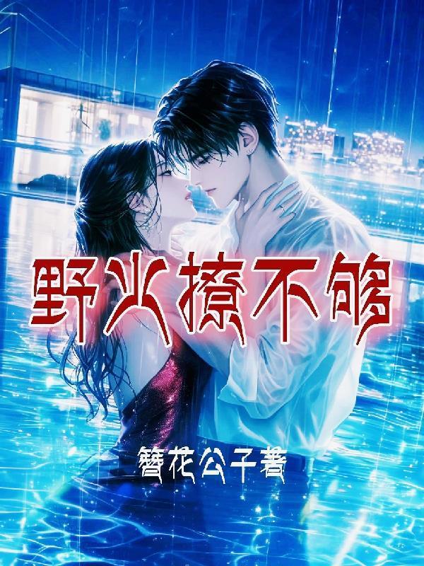 野火撩不夠封面