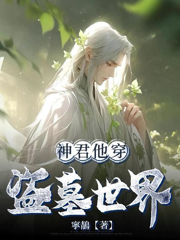 神君他穿盜墓世界封面