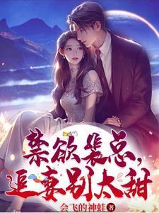 禁欲裴總，追妻別太甜封面