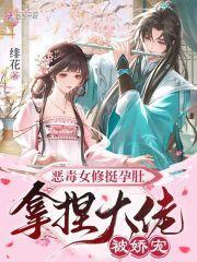 惡毒女修挺孕肚，拿捏大佬被嬌寵封面