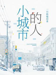 小城市的人封面