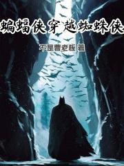 蝙蝠俠穿越蜘蛛俠封面