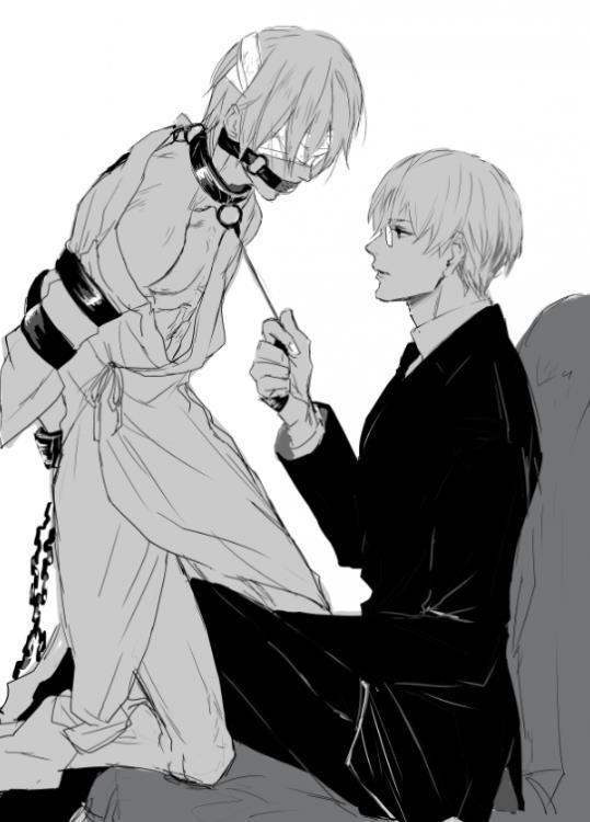 銀河墮落指南封面